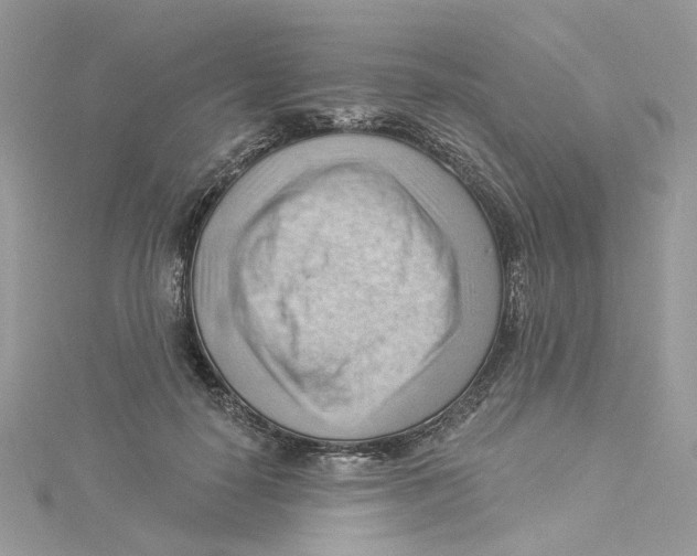 X0000114530650200911161337