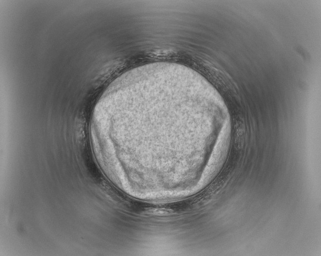 X0000114530654200911161337