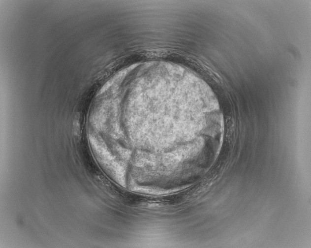 X0000114530655200911161337