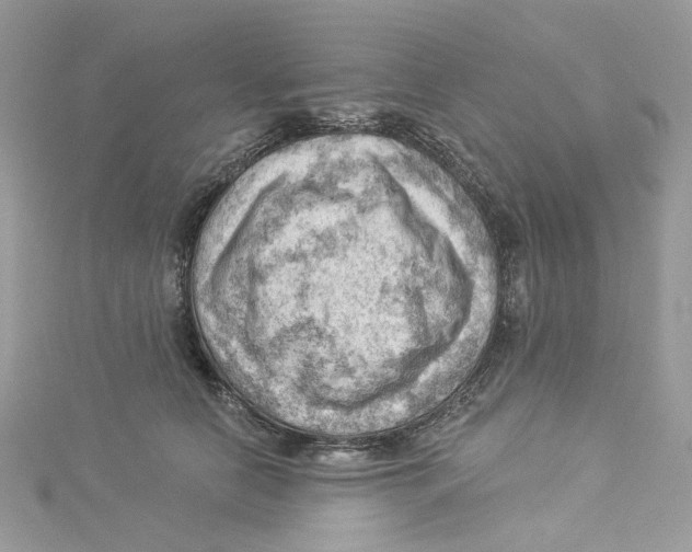 X0000114530658200911161337