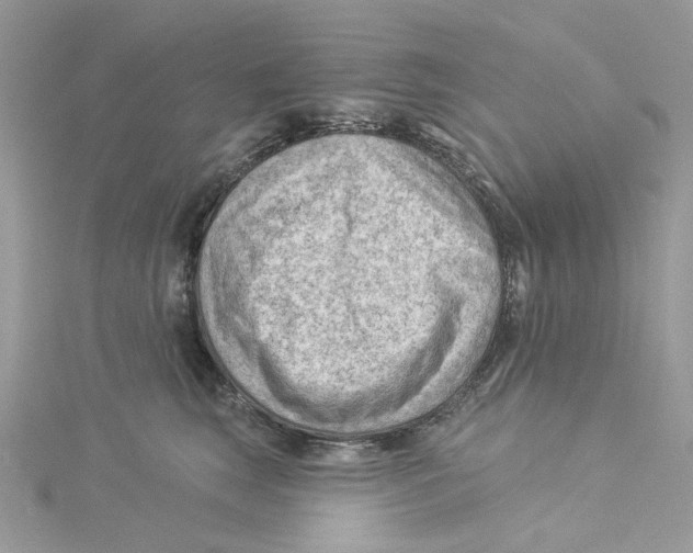 X0000114530663200911161337