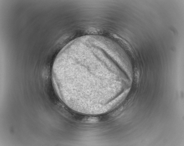 X0000114530665200911161337