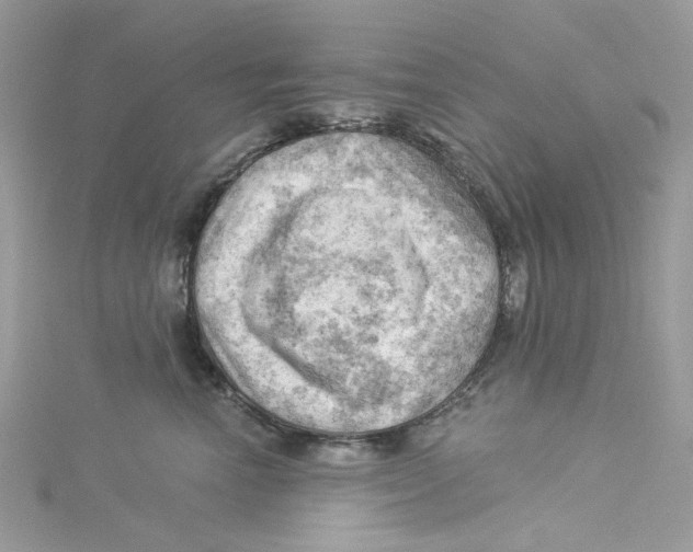 X0000114530666200911161337