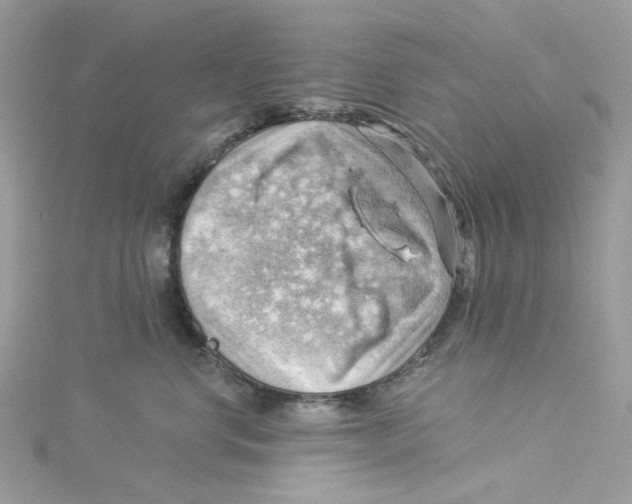 X0000114530668200911161337