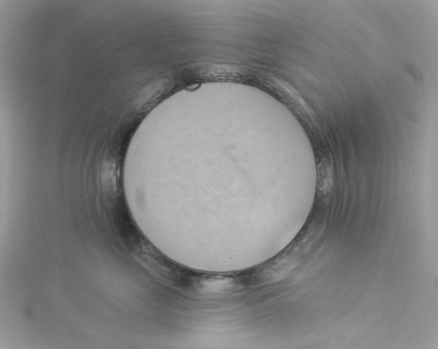 X0000114530669200911161337