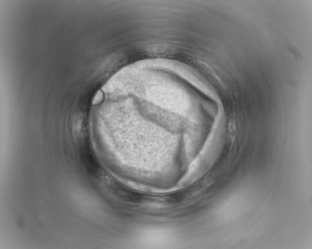 X0000114530671200911161337