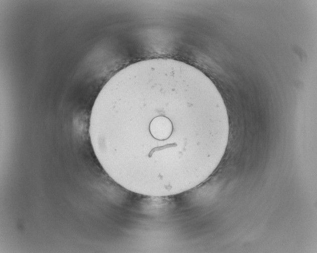 X0000114530672200911161338