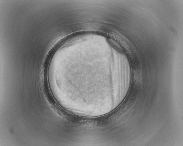 X0000114530676200911161337