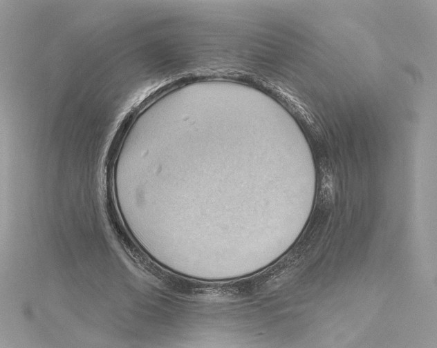 X0000114530678200911161337