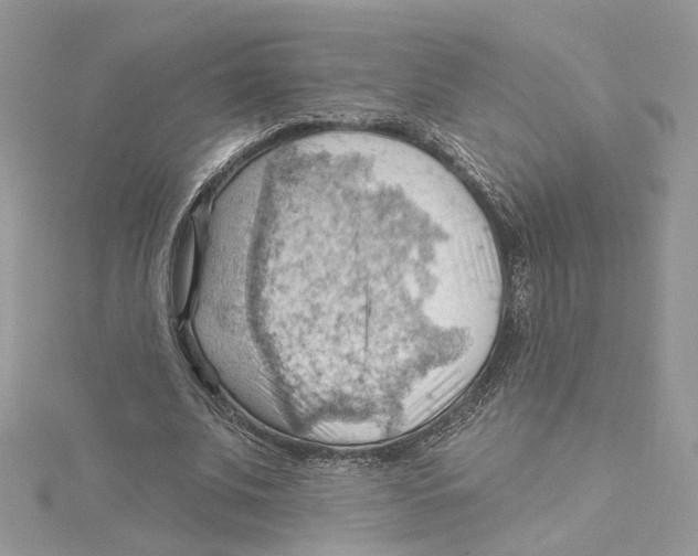 X0000114530679200911161337