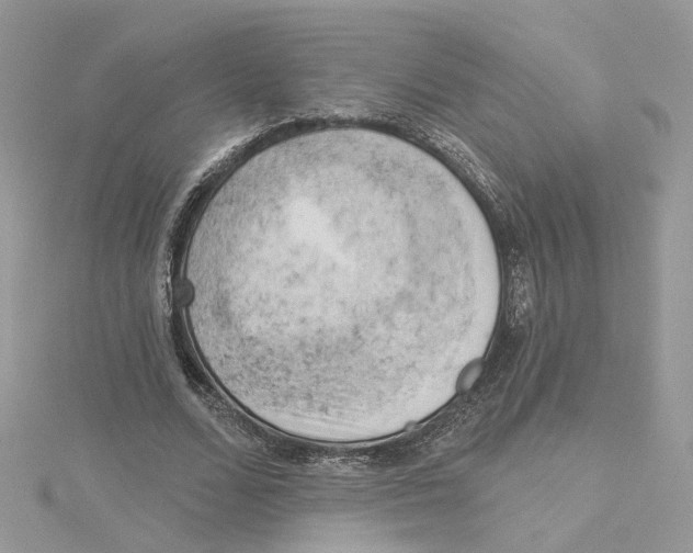 X0000114530680200911161337