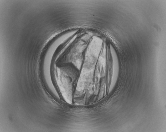 X0000114530684200911161337