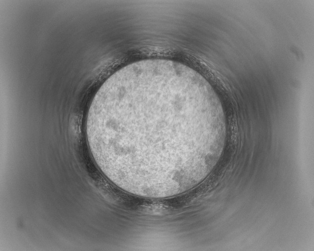 X0000114530695200911161337