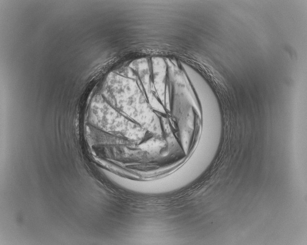 X0000114530696200911161337