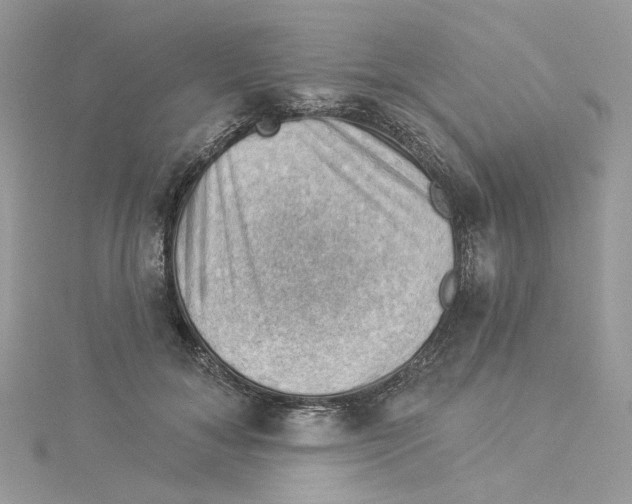 X0000114530700200911161337