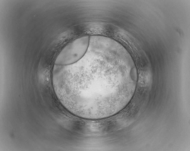 X0000114530701200911161337