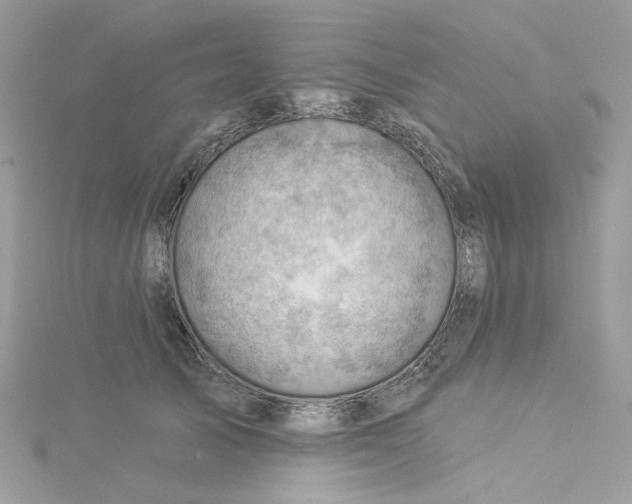 X0000114530705200911161336