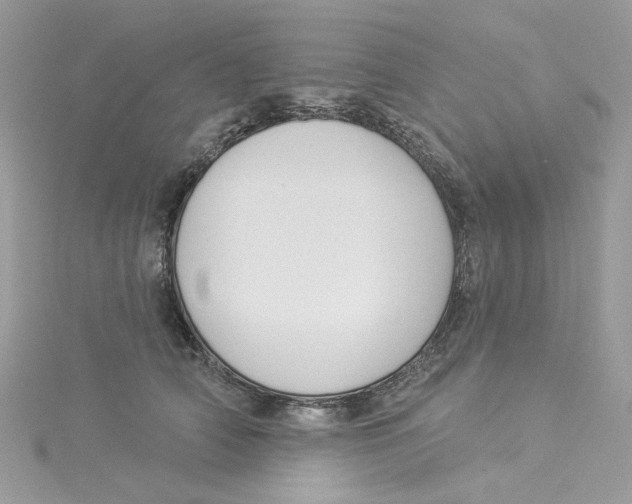 X0000114530706200911161336