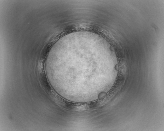 X0000114530709200911161336