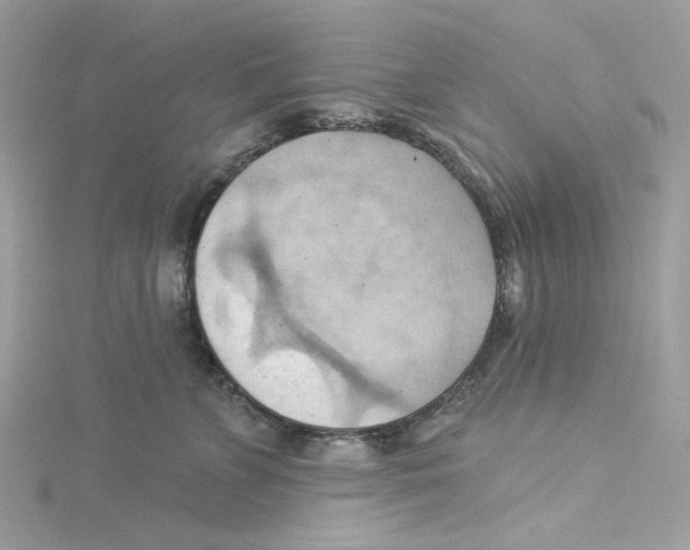 X0000114530715200911161336