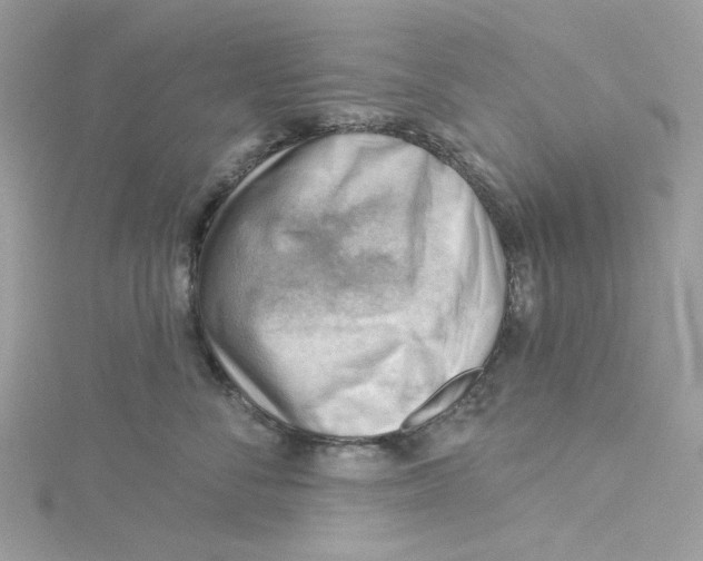 X0000114530716200911161336