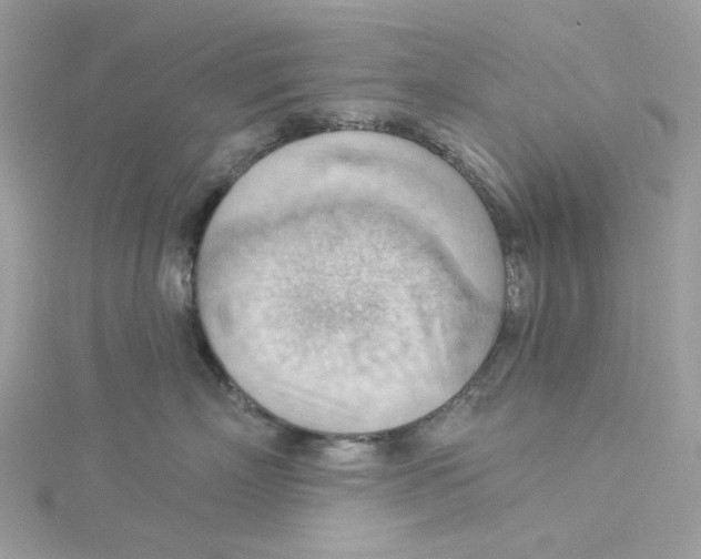 X0000114530718200911161336