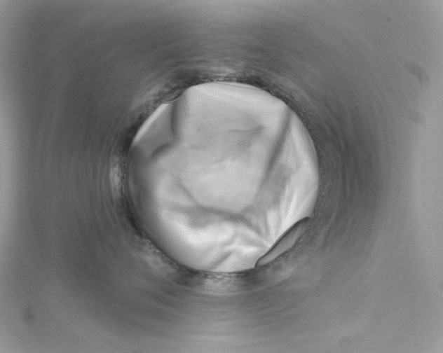 X0000114530720200911161336