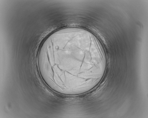 X0000114530721200911161336