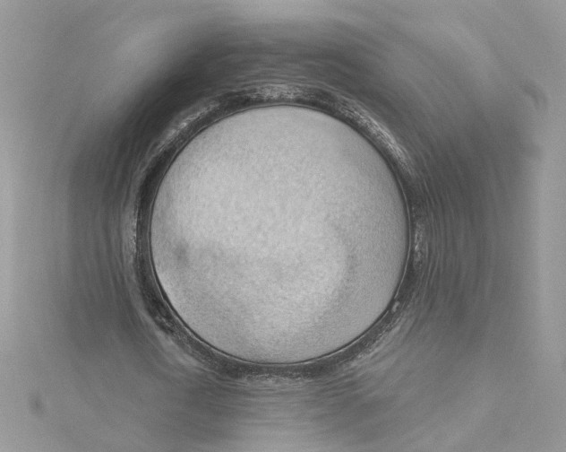 X0000114530722200911161336