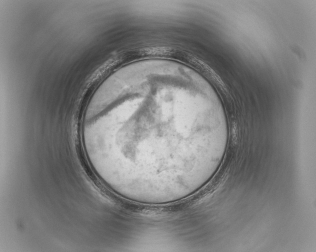 X0000114530725200911161336