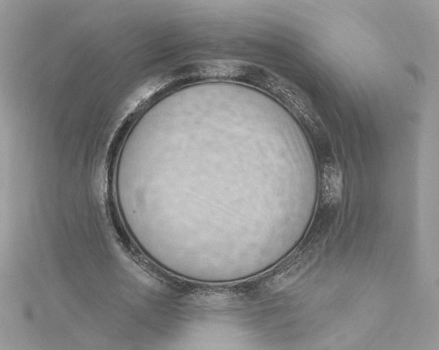 X0000114530726200911161336