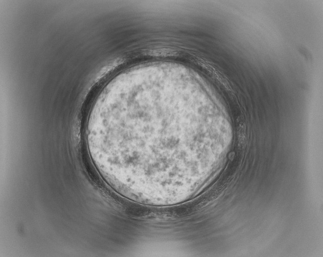 X0000114530727200911161336