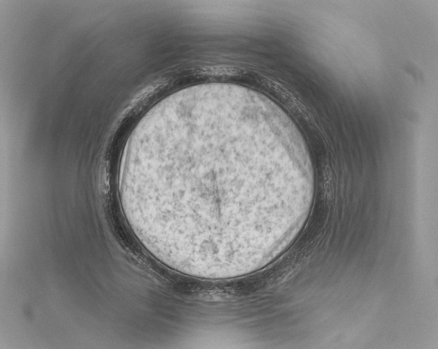 X0000114530731200911161336