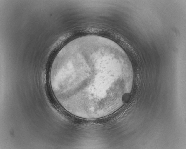 X0000114530734200911161336