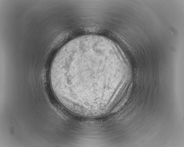 X0000114530738200911161336