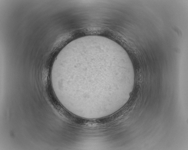 X0000114530742200911161336