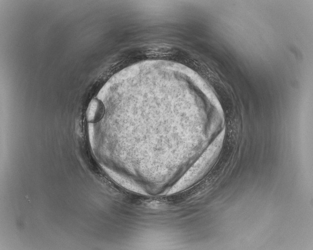 X0000114530755200911161336