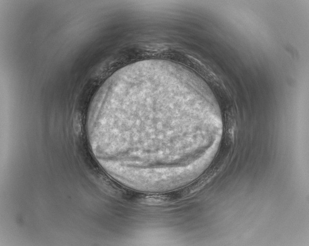 X0000114530758200911161336