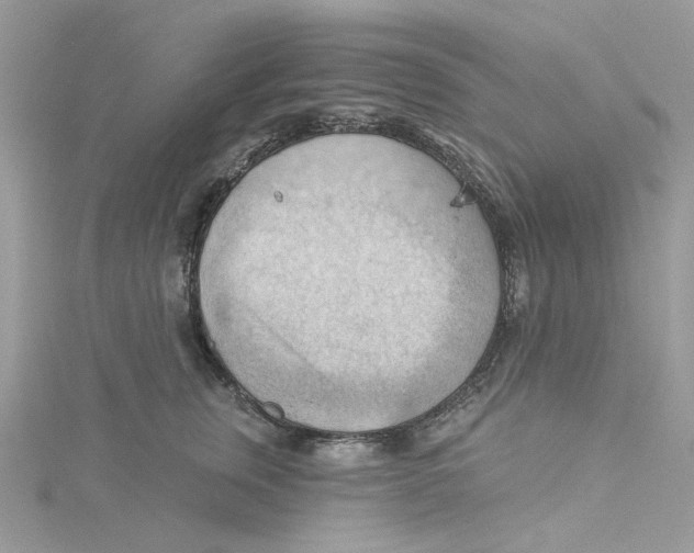 X0000114530759200911161336