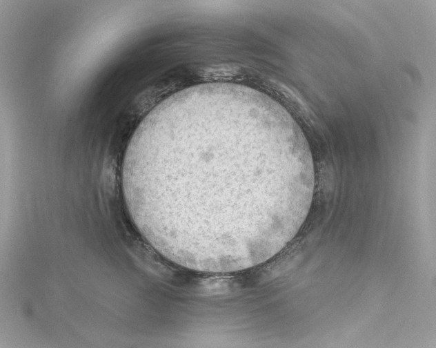 X0000114530761200911161336