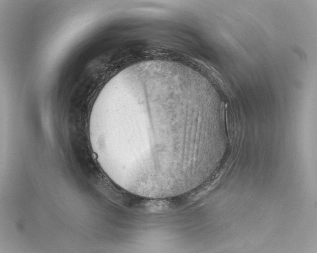 X0000114530762200911161336