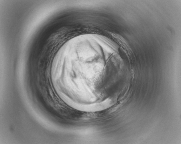 X0000114530765200911161336