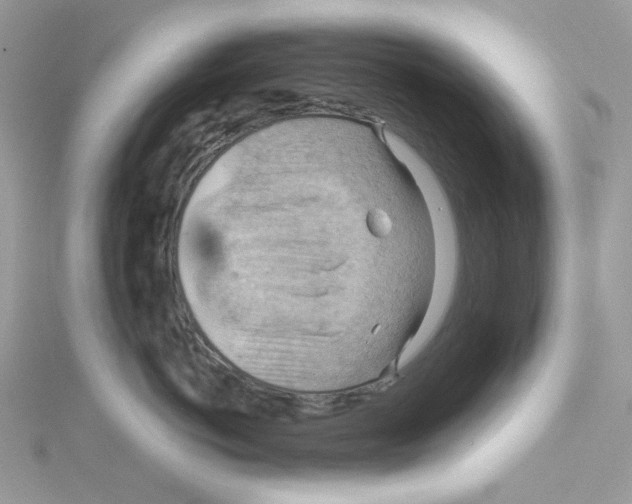 X0000114530766200911161336