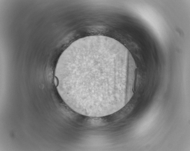 X0000114530767200911161336