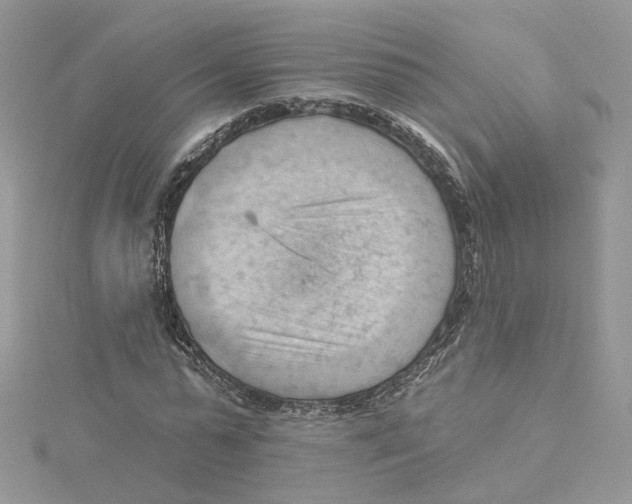 X0000114530775200911161336