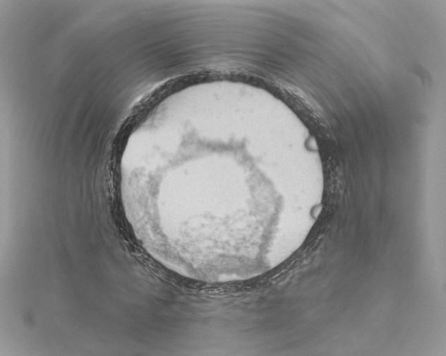 X0000114530776200911161336