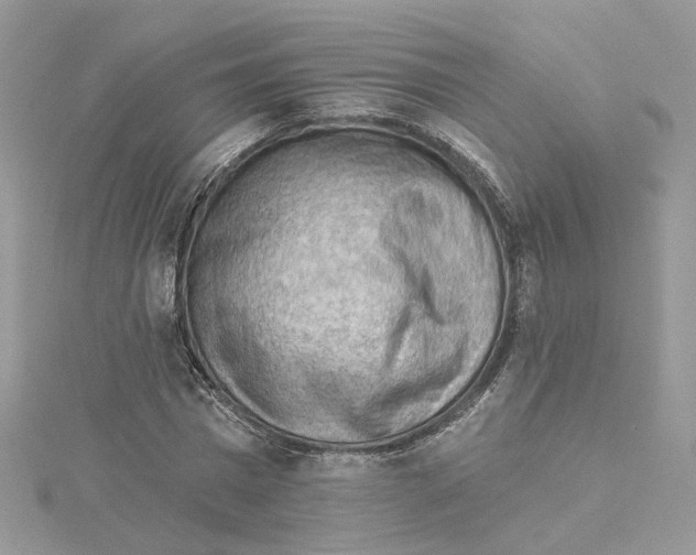 X0000114530777200911161336