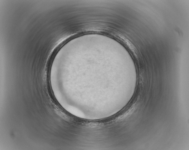 X0000114530779200911161336