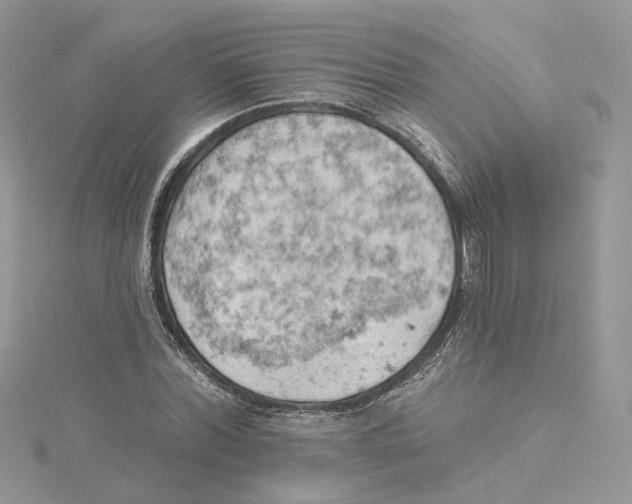 X0000114530780200911161336