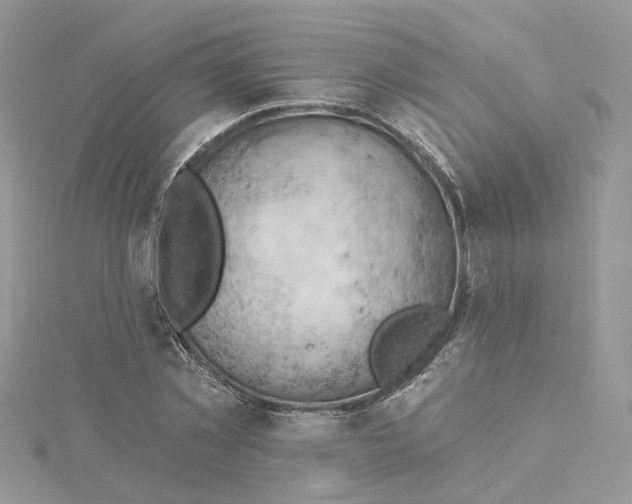 X0000114530781200911161335